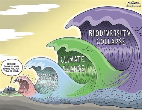  Curing Wind and Waves: Uma Exploração Desconcertante da Natureza e da Humanidade